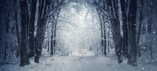 snowy winter road, fantasy forest landscape