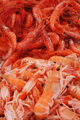 Shrimps at the local fish market Vucciria in Palermo, Italy