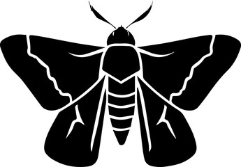 Apple Moth icon