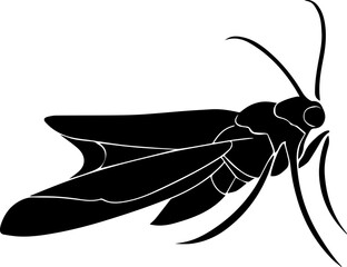  Amphicoelias Fragillimus icon 