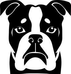  American Bulldog icon