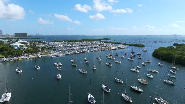 Top view of crowded marina bustling with many different motor yachts in Coconut Grove, Florida. Background of Miami skyline and blue water of Atlantic ocean