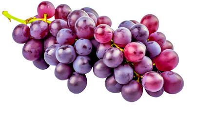Isolated bunch of grapes merlot variety closeup on transparent or white background.  - obrazy, fototapety, plakaty