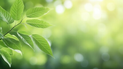 Fototapeta na wymiar Eco-Friendly Elegance: Green Leaf Close-Up on Sunlit Blurred Greenery