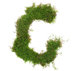 Green moss in shape alphabet letter C isolated on white, clipping path, top view