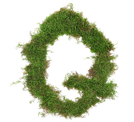 Green moss in shape alphabet letter Q isolated on white, clipping path, top view