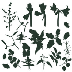 Christmas plants, holly berry, christmas tree, leaves branches, holiday decoration, winter symbols silhouette isolated on white background. Vintage nature illustration.