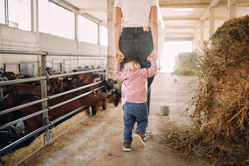 Little girl follows her mother holding her hands and looking at her feet on the farm