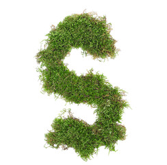 Green moss in shape alphabet letter S isolated on white, clipping path, top view