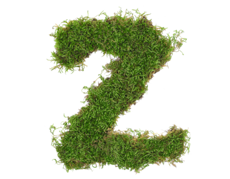 Green moss in shape alphabet letter Z isolated on white, clipping path, top view