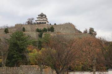Fototapeta premium A Japanese castle : Marugame-jyou Castle in Marugame City in Kagawa Prefecture 日本のお城：香川県の丸亀市にある丸亀城