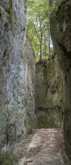 Vie Cave trail under forest, Pitigliano, Italy