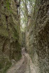 Vie Cave winding trail under forest, Pitigliano, Italy