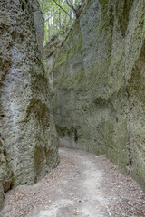 bend at Vie Cave trail under forest, Pitigliano, Italy