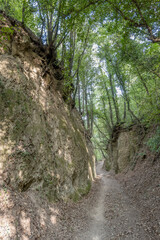 dug slopes at Vie Cave trail under forest, Pitigliano, Italy