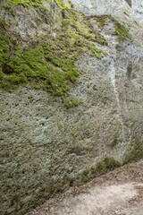 dug cliff face at Vie Cave trail under forest, Pitigliano, Italy