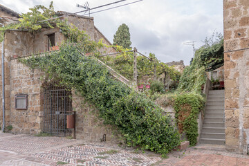 lush vegetation old tuff stairs at medieval village, Sovana, Italy