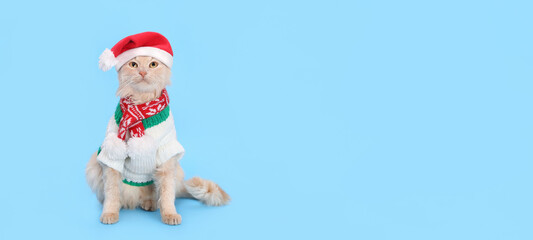 Cat wearing red Santa Claus cap hat. Christmas cat card. Happy Christmas. Holiday card background. Web banner with copy space. Santa's helper. Ginger Cat on blue background. Happy New Year