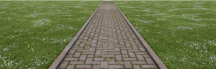 Meadow with concrete path walk. 3d rendering of isolated objects.