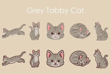 Simple and adorable Grey Tabby Cat illustrations set