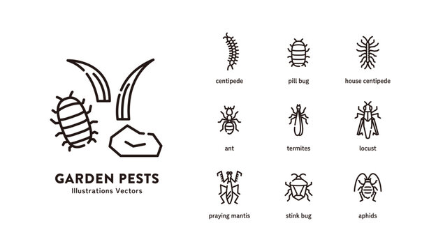 Pest icon set