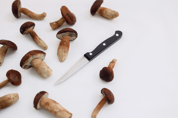 Polish mushroom with a knife for cleaning on a light background. Copy space. Top view. Organic...