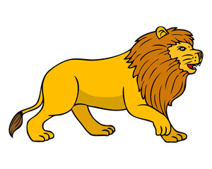 lion vector illustration