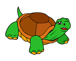 turtle vector illustration