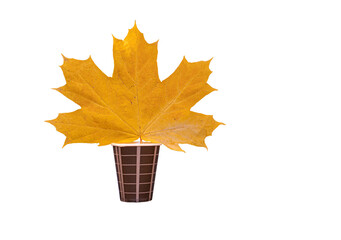 A yellow maple leaf in a paper cup