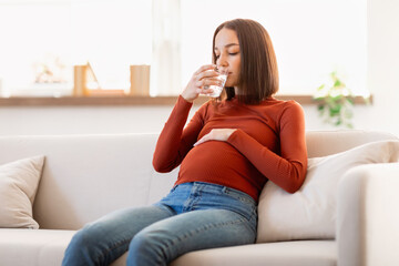 Young Pregnant Lady Enjoying Fresh Water Drinking Sitting At Home