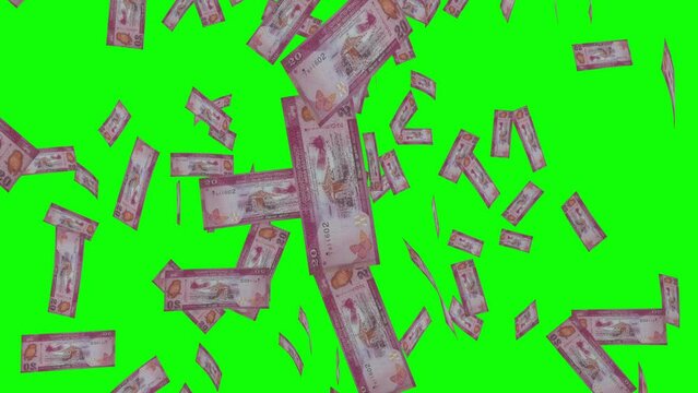 20 SRI LANKAN RUPEE notes falling Green screen