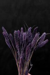 Soft lavender flowers on a dark background in a Ikebana's stile