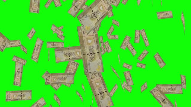 5000 SRI LANKAN RUPEE notes falling Green screen