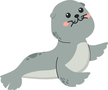 Seal cute animal cartoon flat