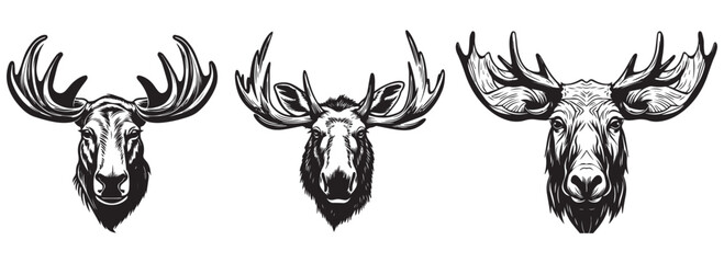 Moose with antlers on the background of the forest and trees, woodcut, black and white vector graphics, silhouette laser cutting - obrazy, fototapety, plakaty