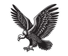 Beautiful bird of prey vulture. Vintage engraving illustration