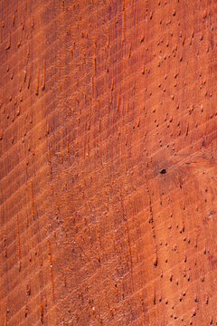 Padouk Holz Tropenholz - Holzmuster - Oberfl&auml;che Hintergrund