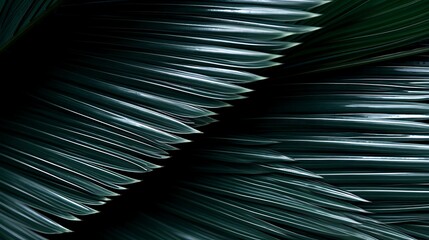 A close up of a palm leaf  in the style of dark green, AI Generative