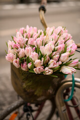 Street photo in a Provence style of beautiful soft pink tulips