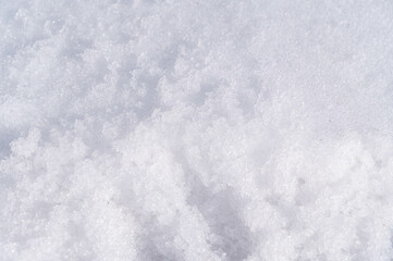 初冬に積もった雪