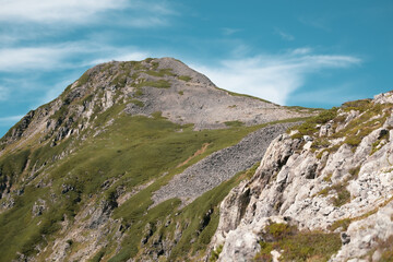 夏の山