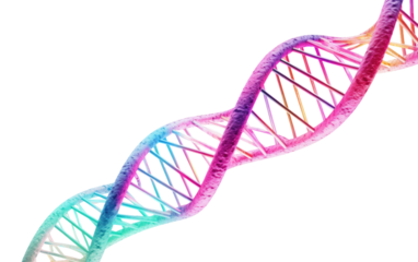 Genetic Code Blueprint of Life on a White or Clear Surface PNG Transparent Background