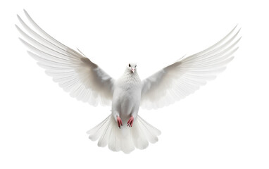 Heavenly Glide Soaring White Dove on a White or Clear Surface PNG Transparent Background