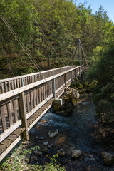 Fototapeta premium passerelle sur La Valserine Rivière Sauvage.