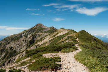 夏の山