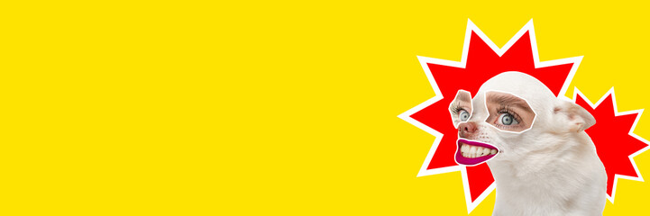 Little purebred dog with female eyes mouth smiling against yellow background. Contemporary art...