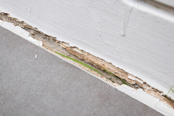 cracked concrete floor of the house