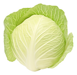 Fototapeta premium cabbage isolated on white background