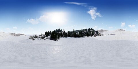 Fototapeta na wymiar Snow-covered pine forest scene, 360 panorama, 3D rendering