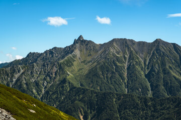 夏の山